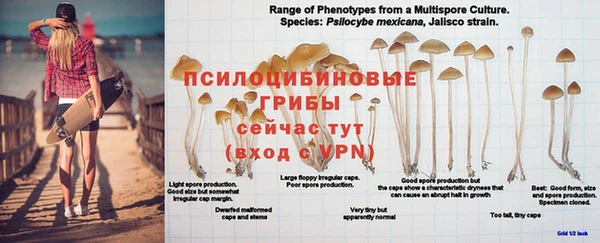 шишки Бугульма